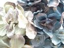 Flowers & fancy bits