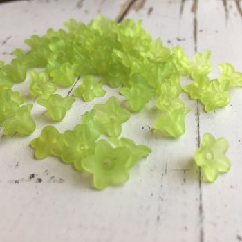 SMALL TRUMPET FLOWER