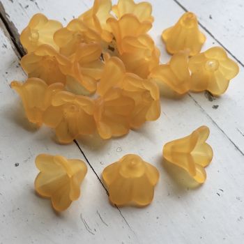 MEDIUM TRUMPET FLOWER